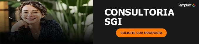 CONSULTORIA SGI 